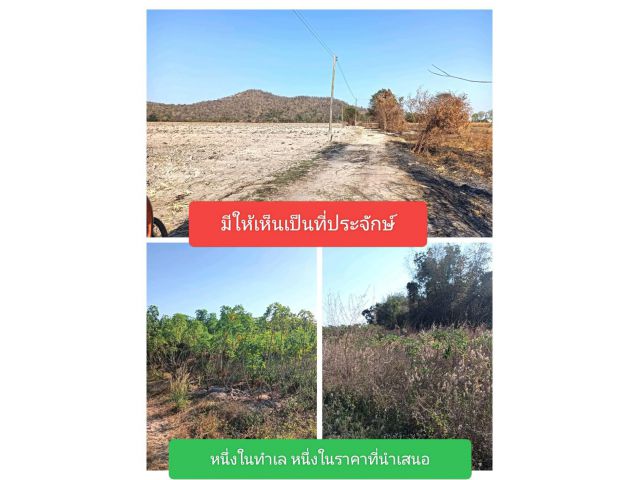 วันที่สดใสวันที่มองโลกในแง่ดี แปลงที่ดีๆไม่ใช่ดีแต่ปาก หากแต่ดีทั้งแปลง ทึ่งเพราะทำเลผิดพลาดที่ราคาถูกกว่าที่ควรจะเป็น