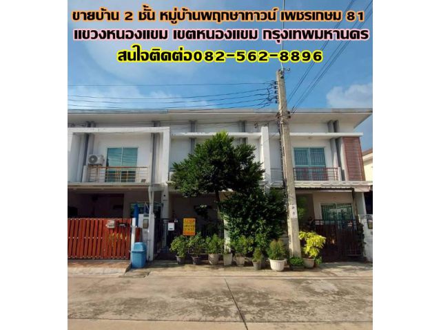ขายบ้าน 2 ชั้น หมู่บ้านพฤกษาทาวน์ เพชรเกษม 81