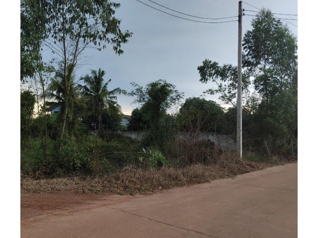 ขายที่ดินบ้านซ่องซอย44เนื้อที่ 2 ไร่ ใกล้ถนนสี่เลนเส้น319-100เมตร อ.พนมสารคาม ฉะเชิงเทรา