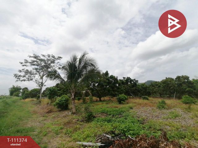 ขายที่ดิน เนื้อที่ 2 ไร่ เขาแดง อ.สอยดาว จันทบุรี