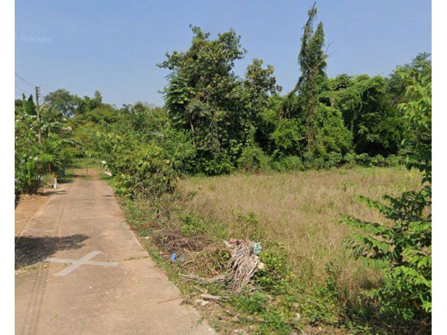 ขายที่ดินหนองตารอด บ้านซ่อง 22 ไร่ ใกล้ถนนสี่เลนเส้น319-900เมตร อ.พนมสารคาม ฉะเชิงเทรา