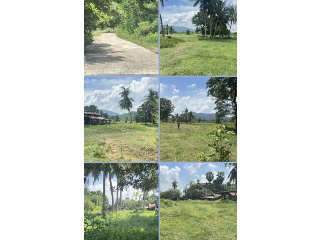 ที่ดินเปล่าทุ่งนาและภูเขา