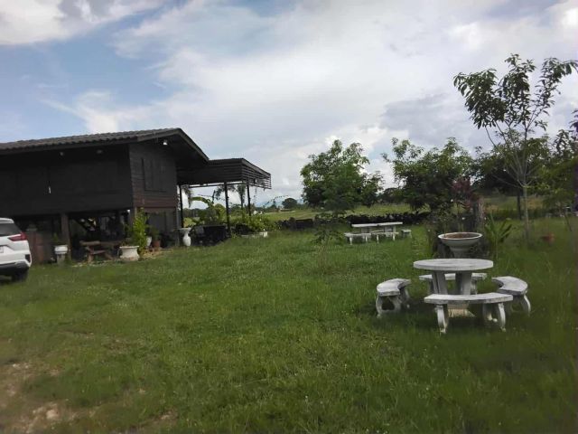 ขาย บ้านพร้อมที่ดินทุ่งนา ต.สองแคว อ.ดอยหล่อ จ.เชียงใหม่ ตั้งอยู่ใกล้ถนนเส้นหลัก เชียงใหม่ ฮอด