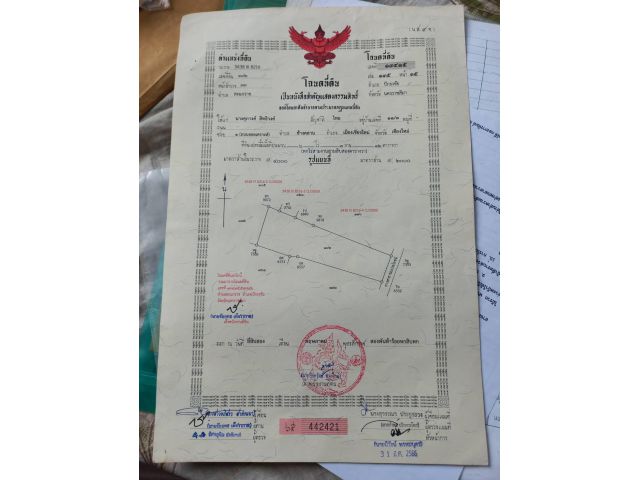 ขายที่โฉนด ต.สะแกราช อ.ปักธงชัย6ไร่3งาน32ตรว.ขายยกแปลง1,900,000บาท