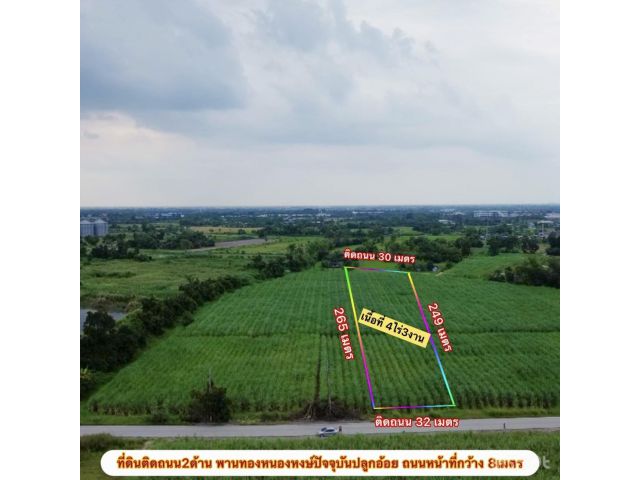 ที่ดินพานทองหนองหงษ์ เนื้อที่ 4ไร่ 3งาน ตรว.ละ​ 11,000บาท​ต.หนองหงษ์ อ.พานทอง จ.ชลบุรี  ที่ดินติดถนนสาธารณะสองด้าน