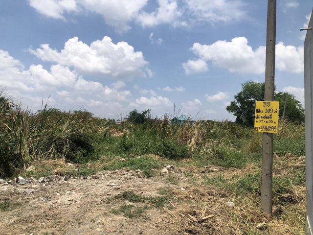 ขายที่ดินเปล่า 309 ตร.ว. ซอยลาดกระบัง 38