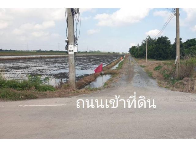 พื้นที่สีม่วง 5ไร่1งาน75ตรว ขายรวม5 ล้านรวมโอน  ซอยวัดสโมสร ต.ไทรใหญ่  อ.ไทรน้อย นนทบุรี  (งดนายหน้า)