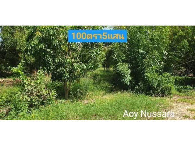 100ตรว.ขาย5แสน มี2แปลง ซอยสาธารณะ3ม.ห่างถนนหลัก100ม.เข้าซอยวัดสโมสร