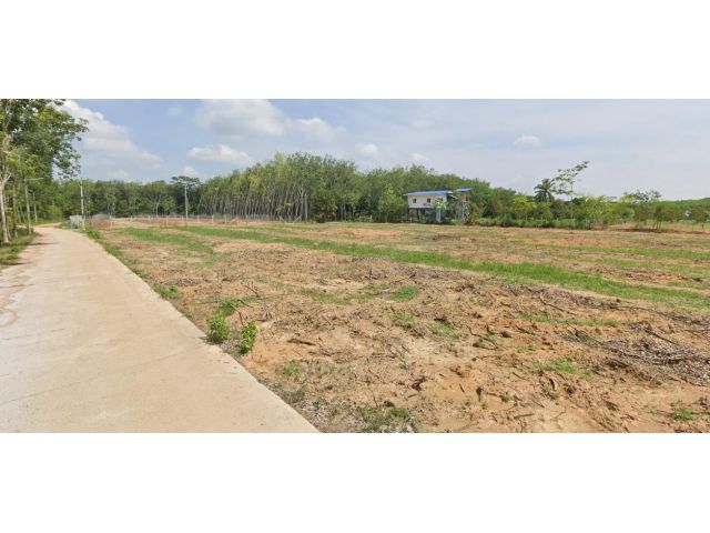 ขายที่ดินสวยติดถนนคอนกรีต พังลา สะเดา ใกล้ศรีตรังฯ เพียง 850 ม