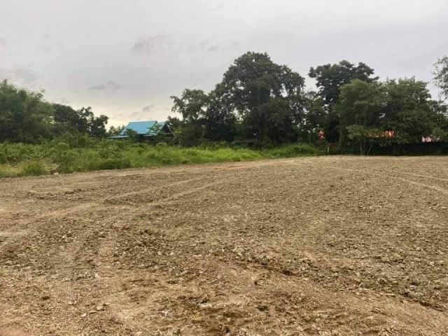 L650 ขายที่ดินถมแล้ว แบ่งขาย/ยกแปลง 335 ตรว อรัญประเทศ สระแก้ว