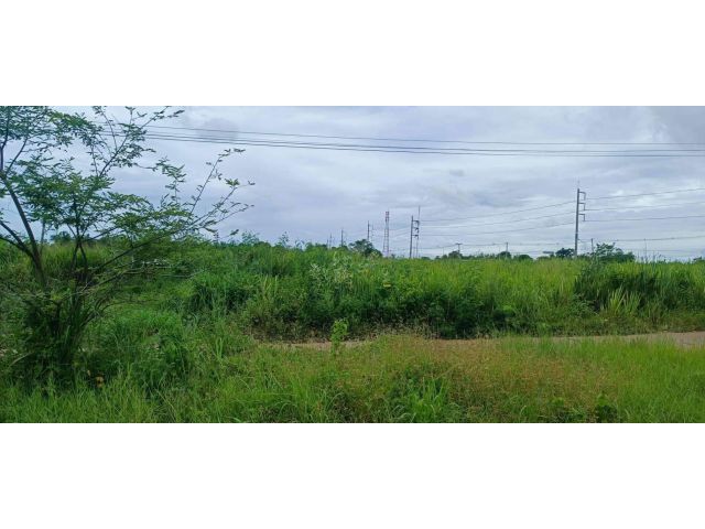 L653 ขายที่ดิน 278 ตรว เมืองราชบุรี