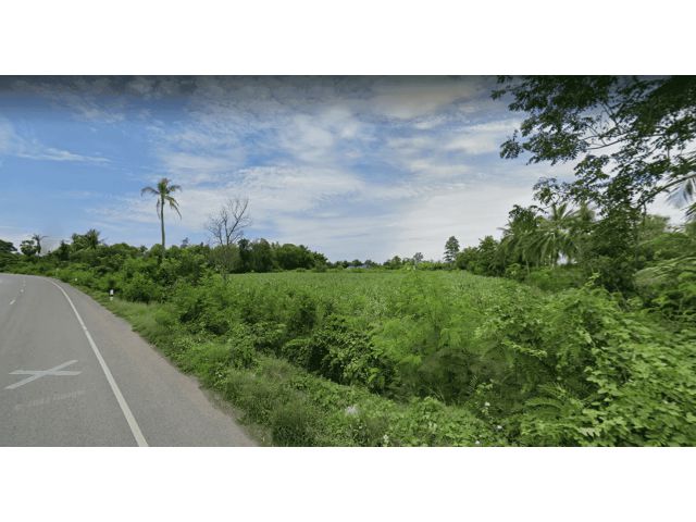 L655 ขายที่ดินสวยทำเลดี 5 ไร่ หน้ากว้าง 111 เมตร เดิมบางนางบวช สุพรรณบุรี