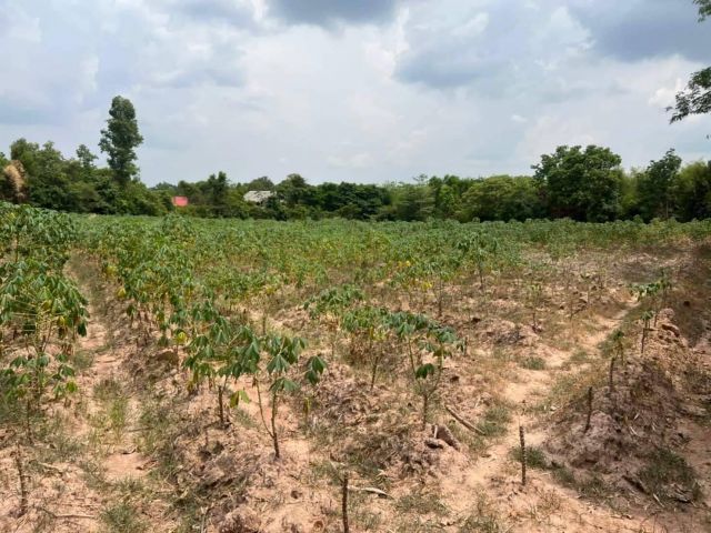 L658 ขายที่ดินสวยทำเลดี แบ่งขาย/ยกแปลง 7 ไร่ หน้ากว้าง 104 เมตร ตัวเมืองสระแก้ว