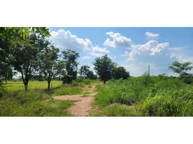 L659 ขายที่ดินใกล้โรบินสัน ไลฟ์สไตล์ 4 ไร่ เมืองสระบุรี