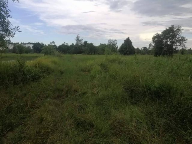 L673 ขายที่ดินใกล้ตลาดสนามชัยเฃต 8 ไร่ พนมสารคาม ฉะเชิงเทรา