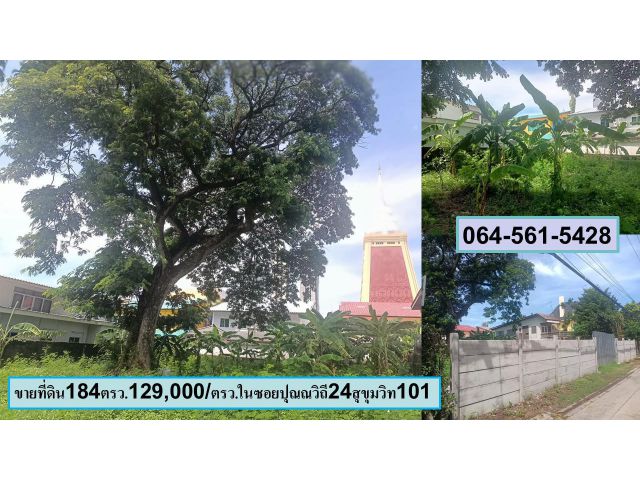 ขายที่ดินเปล่าสุขุมวิท101 ซอยปุณณวิถี24  ขนาด 184 ตรว.129,000บ/ตรว.