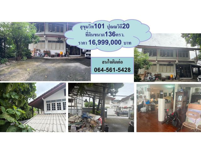 ขายบ้านเดียว ซอยสุขุมวิท101 ปุณณวิถี 20 ทำเลดี มีบ้านไม้โบราณหนึ่งหลัง ที่จอดรถกว้างขวางได้ 4 คัน สนใจนัดดูบ้านได้