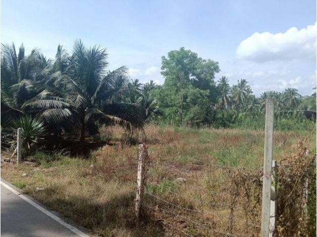 ที่ดินอัมพวา ที่ดินสมุทรสงคราม ที่ดินปลายโพงพาง 2 ไร่กว่า เข้าจากถนนใหญ่ถนนปากท่อสายเก่าเพียง 850 เมตร