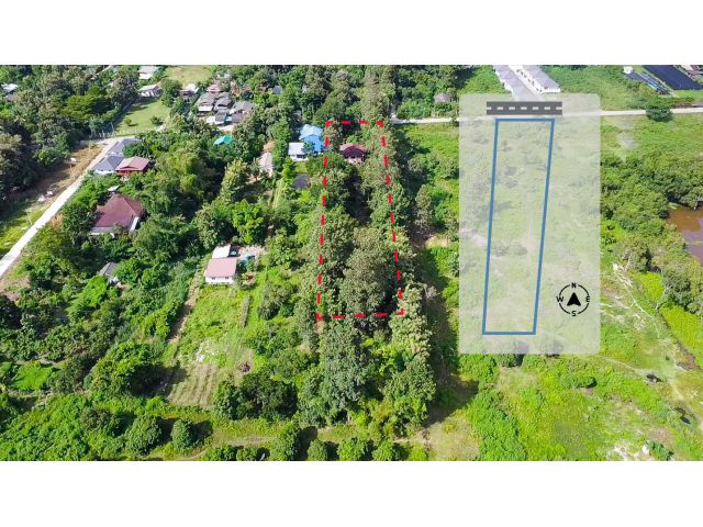 C835 ขายที่ดิน สันทราย ขนาด 2 ไร่ 3 งาน ต.ป่าไผ่ เชียงใหม่ | Land 2 rai 3 ngan at San Sai for Sale