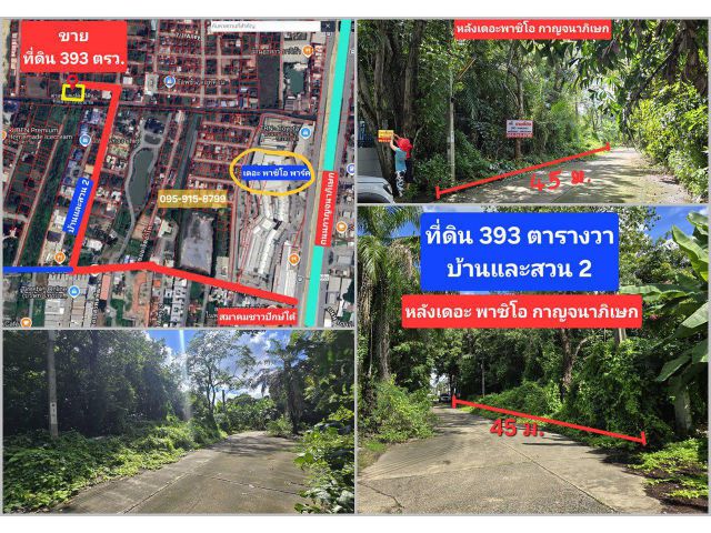 หาไม่ได้อีกแล้ว....ราคานี้ ที่ดิน 393 ตร.วา บ้านและสวน 2 ติดถนน ติดคลองบางระมาด หลัง The Paseo กาญจนาฯ