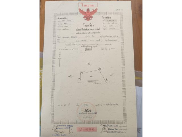 ขายด่วน ขายถูก 3ไร่ กว่า