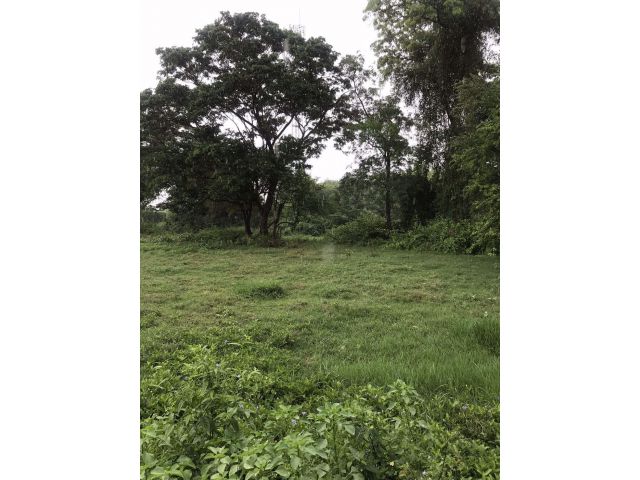 L680 ขายที่ดิน 340 ตรว ปากท่อ ราชบุรี