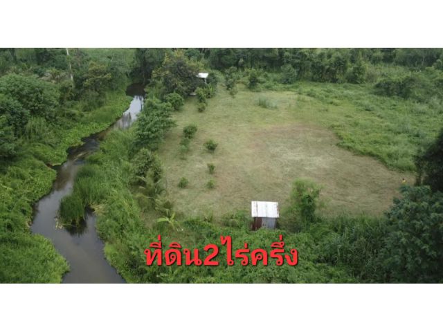 เสนอขายที่ดินติดลำธารเหมาะทำรีสอร์ทหรือลานกางเต็นท์ หรืออาศัยหลังเกษียณ เนื้อที่ประมาณ 2 ไร่ครึ่ง พิกัดซอยหลังวัดบ้านบึง