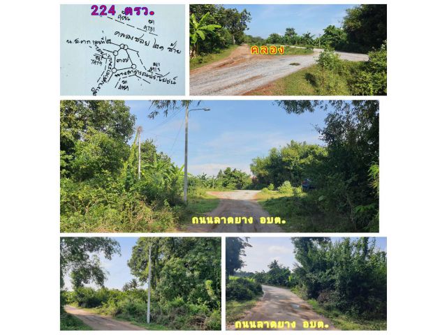 (โฉนด) ที่ดิน 224 ตรว. (พร้อมถม) หน้าติดถนนลาดยาง คลองน้ำ ไฟฟ้า น้ำประปา (พร้อมใช้) ม.10 ต.ดอนคา อ.อู่ทอง จ.สุพรรณบุรี
