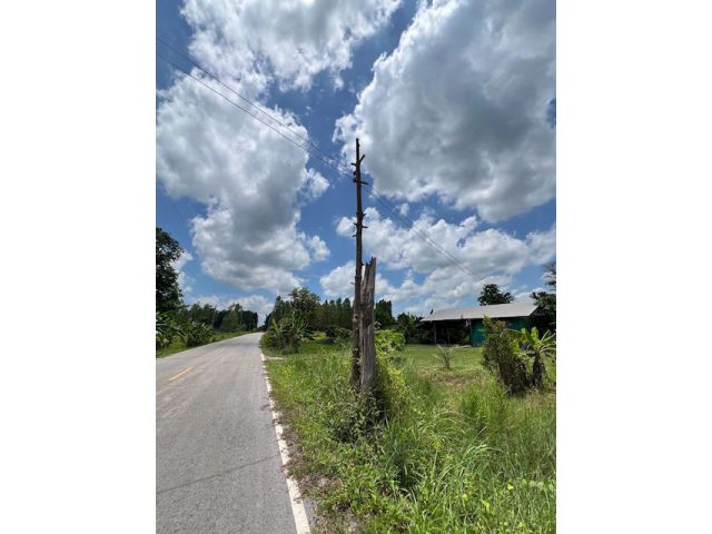 ขายที่ดินทำการเกษตรทำบ้านสวนติดถนนลาดยางห่างถนนสี่เลนส์หลัก สมเด็จ-กาฬสินธุ์ 100 เมตร 13ไร่ๆละ 150,000