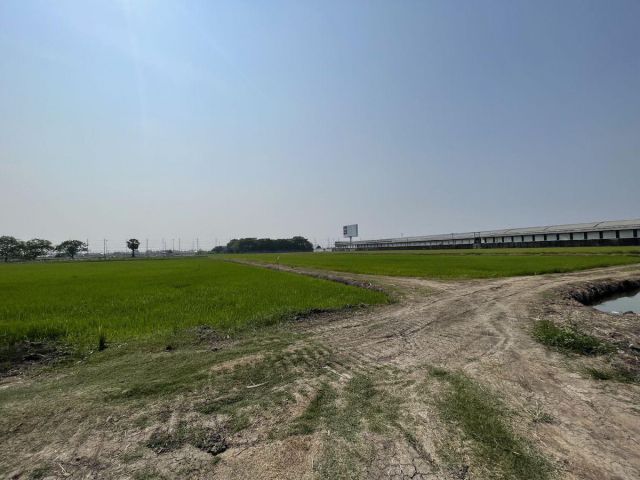 ขายที่ดิน ลำลูกกาคลอง 5 ติดถนนใหญ่ ใกล้มอเตอร์เวย์ แบ่งขายได้