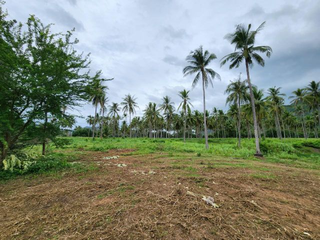 ขาย-เช่า ที่ดินสามร้อยยอด 7 ไร่