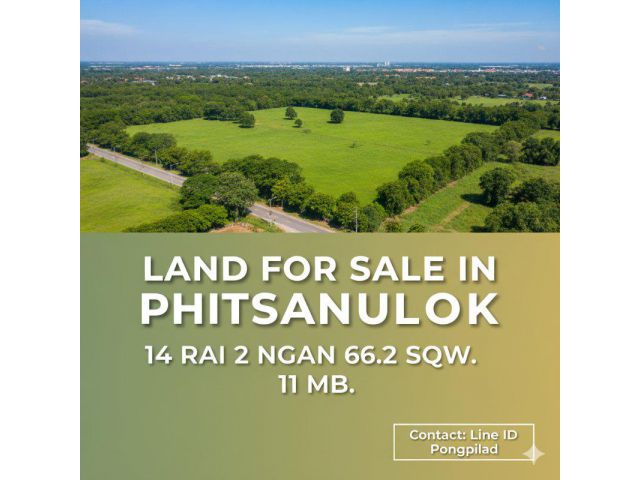 ขายที่ดินพิษณุโลก ใกล้ทางหลวงพิษณุโลก-อุตรดิตถ์ ถนนเลี่ยงเมือง ในซอย โฉนด 14 ไร่ 2 งาน 66.5 ตรว.