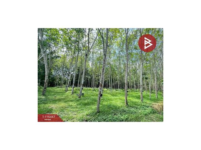 ขายด่วนที่ดินสวนยางพารา 6 ไร่ 39 ตารางวา ต.เขาพระ อ.รัตภูมิ จ.สงขลา