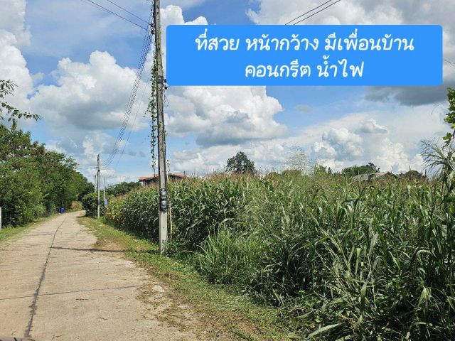 ด่วนๆ > 2 ไร่ ที่สวย หน้ากว้าง บ้านหนองหญ้าขาว ใกล้สาย 24