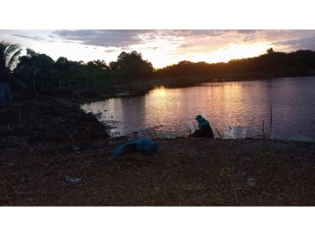วิวริมบึงใหญ่ น้ำไม่ท่วม น้ำไม่แห้งขายที่ต่ำกว่าราคาตลาด  ติดถนนดำ น้ำ ไฟฟ้า ไฟเบอร์ออฟติก ติดร้านค้า เมืองนครปฐม