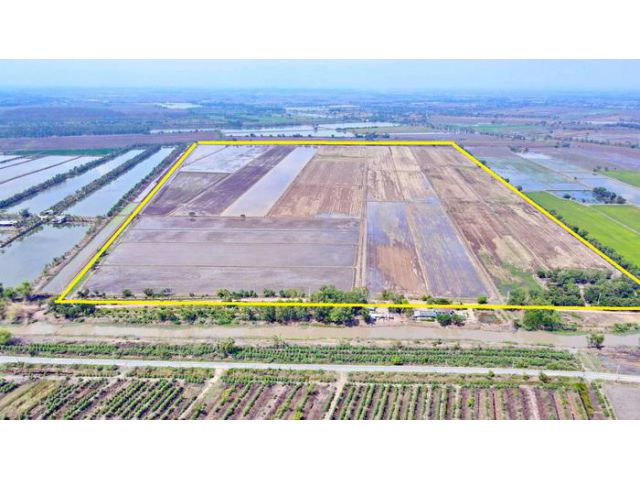 ขายที่นาผืนงาม 398 ไร่ จ.นครนายก ทำเลทองสำหรับเกษตรขนาดใหญ่