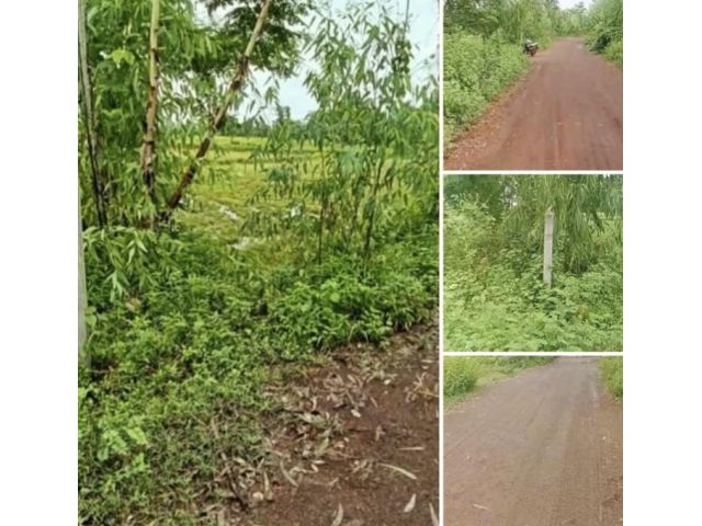 ลดๆที่ 3 ไร่โฉนด ยกเพียง 330,000 บ. บ.หนองหอย ต.เชียงเครือ อ.เมือง จ.สกลนคร ห่าง ม.เกษตร ประมาณ 5กม.