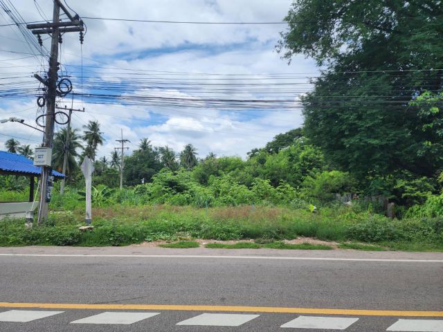 L683 ขายที่ดินทำเลดี 327 ตรว หน้ากว้าง 115 เมตร เมืองราชบุรี