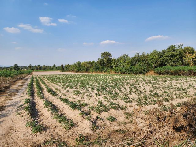 L684 ขายที่ดินสวย 19 ไร่ สวนผึ้ง ราชบุรี