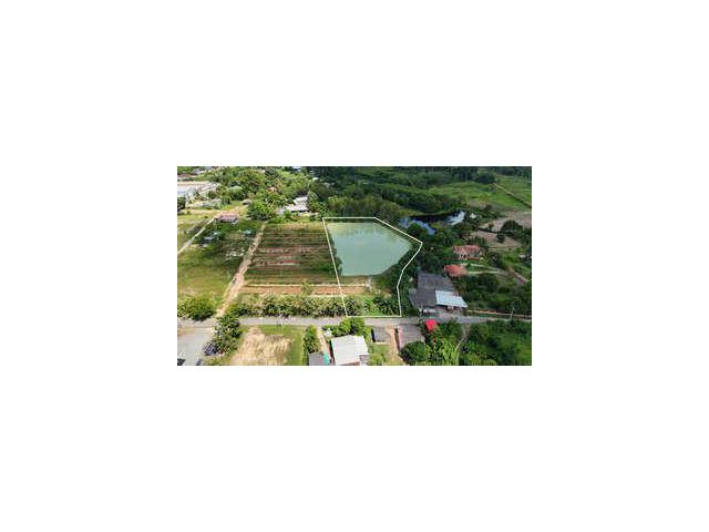 ขายที่ดิน บ้านน้ำซับ ต.นาวังหิน พนัสนิคม ใกล้ตลาดน้ำ 3 วัง  ยกแปลง  5-3-2 ไร่ เพียง  3.9  ล้านบาท ฟรีโอน