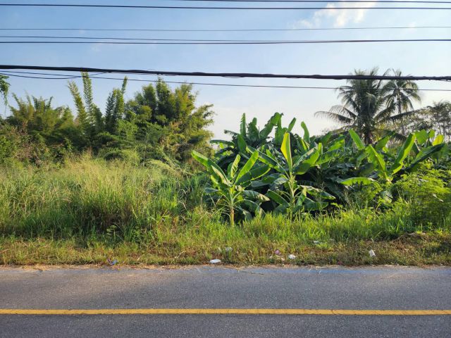 L685 ขายที่ดินติดถนน.3208  353 ตรว สวนผึ้ง ราชบุรี