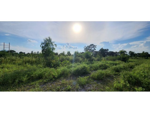 L687 ขายที่ดินวิวภูเขา 81 ตรว โคกสำโรง ลพบุรี