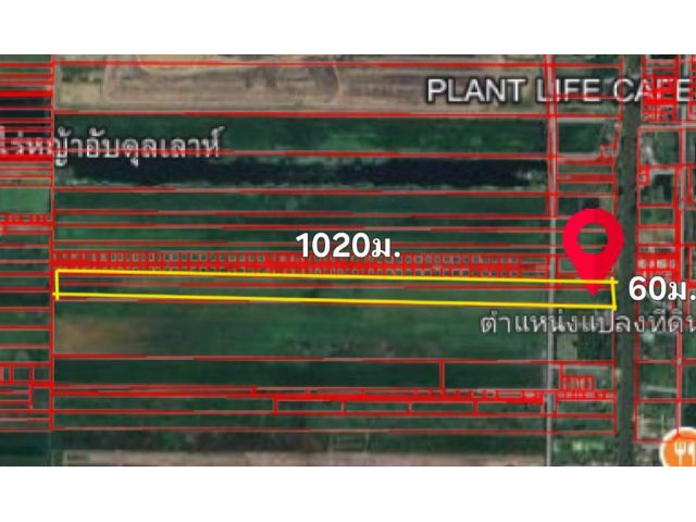 ขายที่ดิน บึงศาล 39 ไร่ ไร่ละ 750,000 บาท หน้ากว้าง 60 ม.ลึก 1050 ม.