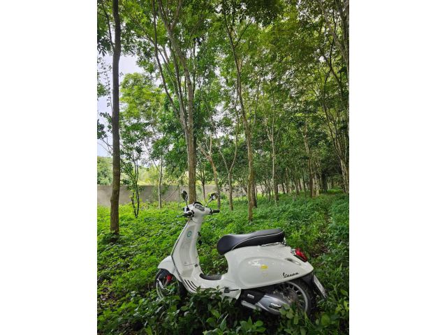 ขายที่ดินพร้อมบ้านสวนใหม่สไตล์รีสอร์ท ป่าในเมืองสวยงาม3ไร่ ห่างตลาดย่านตาขาว1.5km.เสมือนพักผ่อนอยู่บ้านพักตากอากาศ