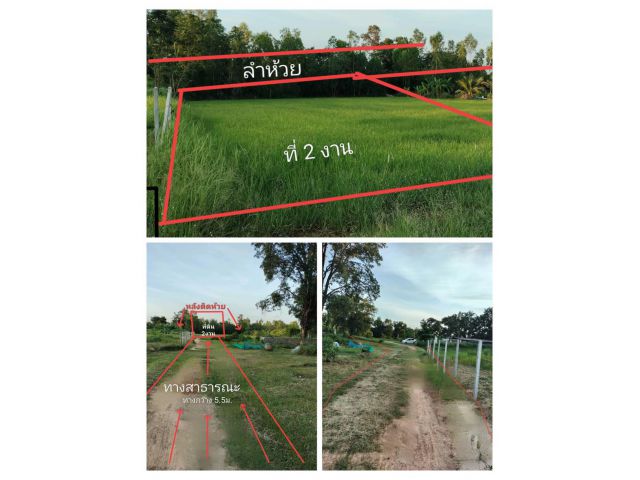 ขายที่ดินแปลงเล็ก ราคาถูกๆ เหมาะสร้างบ้านใกล้เมืองอำนาจเจริญ