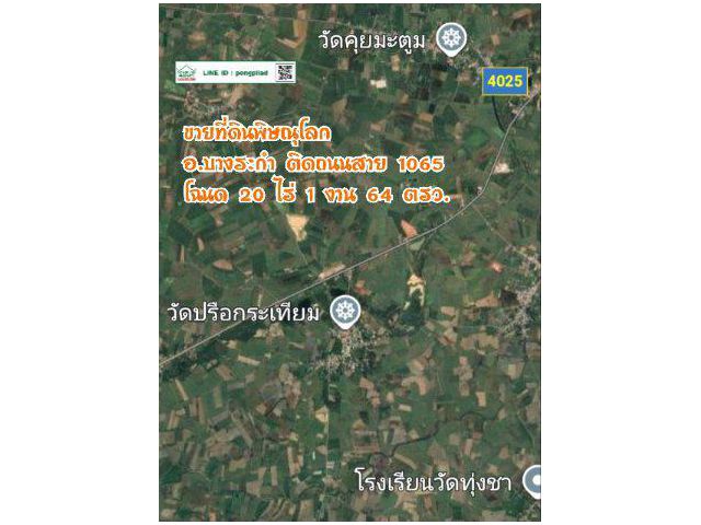 ขายที่ดินพิษณุโลก ติดถนนสาย 1065 บางระกำ 20 ไร่ 1 งาน 64 ตรว