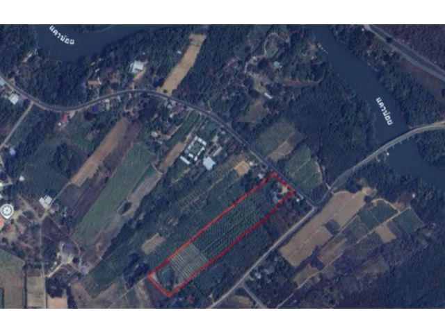 ขายที่บ้านพร้อมสวนผลไม้