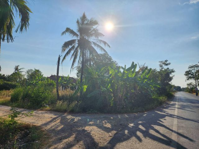 L691 ขายที่ดินพร้อมสิ่งปลูกสร้าง 339 ตรว องครักษ์ นครนายก