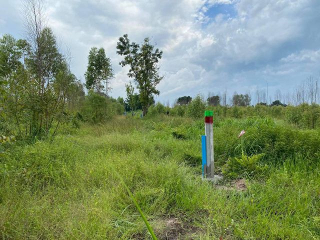 L694 ขายที่ดินผังสีม่วงลาย 6 ไร่ หน้ากว้าง 170 เมตร แปลงยาว ฉะเชิงเทรา