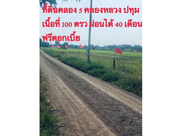 คลอง 13 หนองหมู วิหารแดง สระบุรี 2-1-71 ไร่ ขายยก 1,790,000 บาท ห่างถนนพหลโยธิน 8 กม. ฟรีโอน  O95-4OL8698  Line O95-40L8